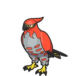 Talonflame .